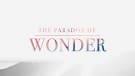 The Paradox of Wonder -The Wait Image